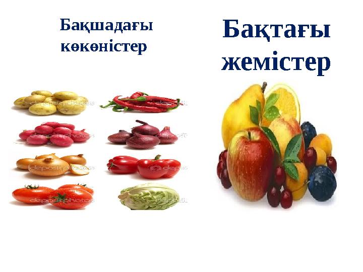 Бақшадағы көкөністер Бақтағы жемістер