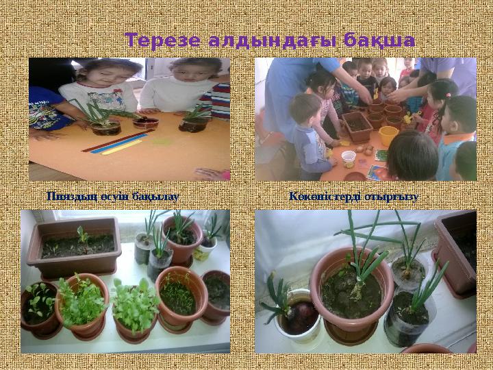 Терезе алдындағы жалаңаш құл фото