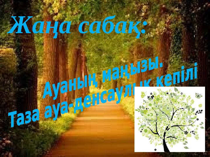 Жаңа сабақ: