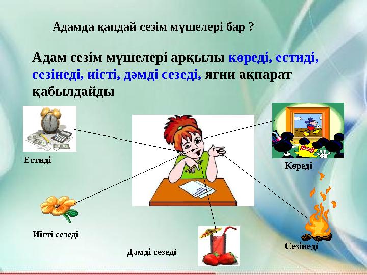 Адам сезім мүшелері арқылы көреді, естиді, сезінеді, иісті, дәмді сезеді, яғни ақпарат қабылдайды Көреді Естиді Сезінеді Иіс