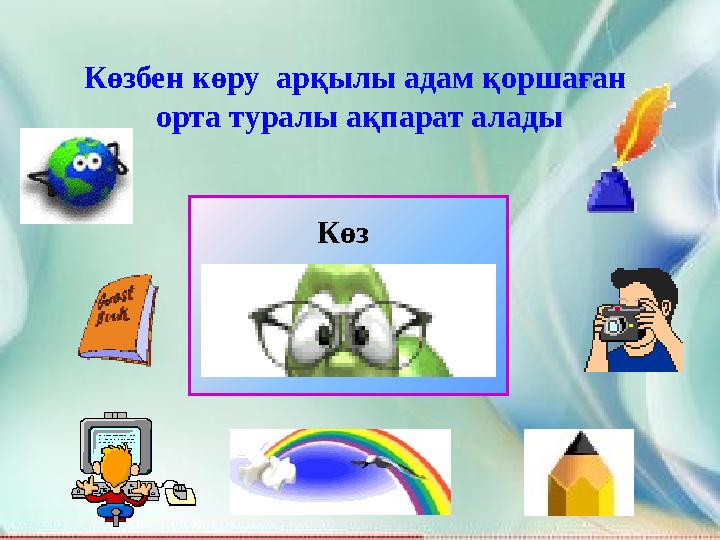 Көзбен көру арқылы адам қоршаған орта туралы ақпарат алады Көз