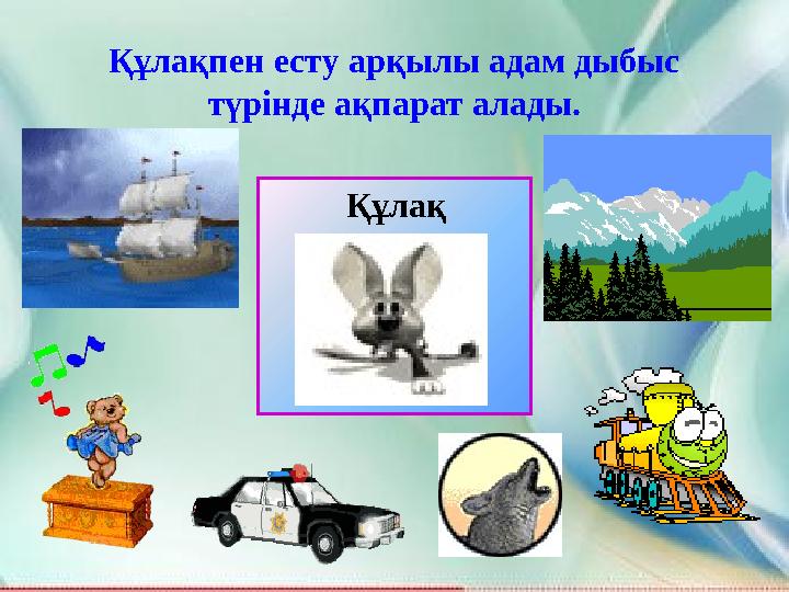 Құлақпен есту арқылы адам дыбыс түрінде ақпарат алады. Құлақ