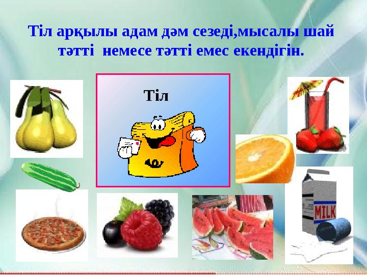 Тіл арқылы адам дәм сезеді,мысалы шай тәтті немесе тәтті емес екендігін. Тіл