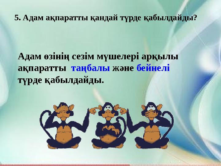 5. Адам ақпаратты қандай түрде қабылдайды? Адам өзінің сезім мүшелері арқылы ақпаратты таңбалы және бейнелі түрде қабылдайд