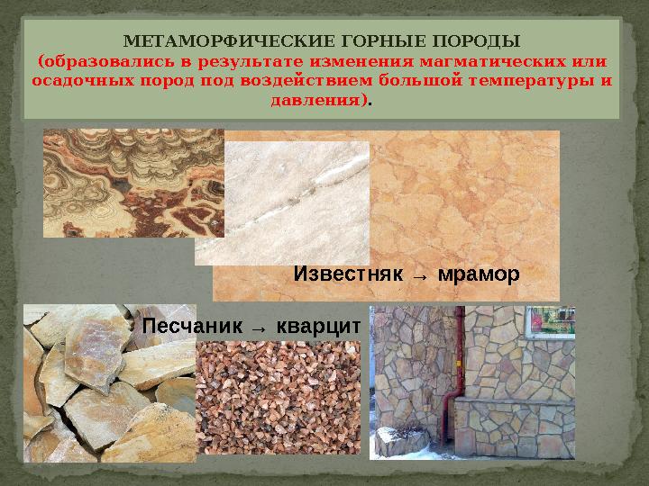 Горная порода образованная из остатков древних животных. Горная порода образованная из остатков древних животных
