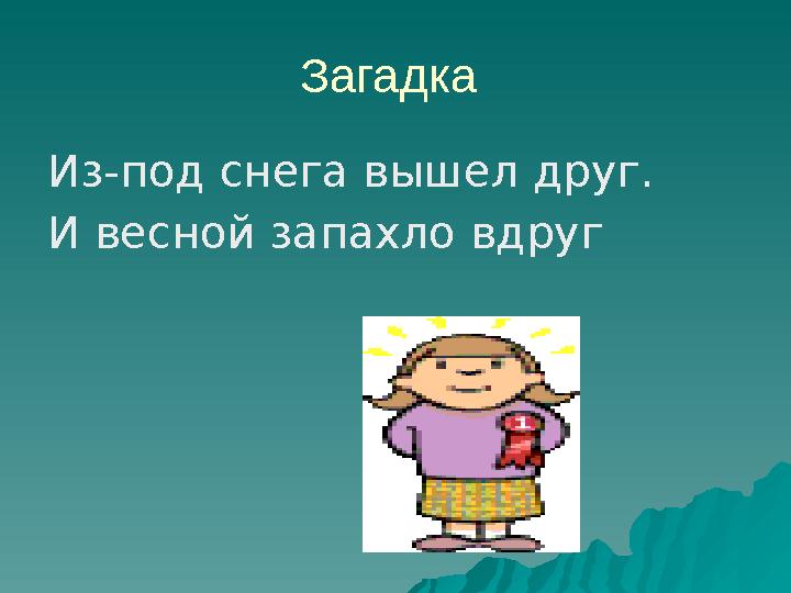 Загадка Из-под снега вышел друг. И весной запахло вдруг