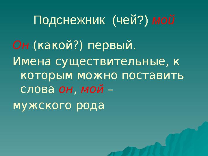 Подснежник (чей?) мой Он (какой?) первый. Имена существительные, к которым можно поставить слова он, мой – мужского рода