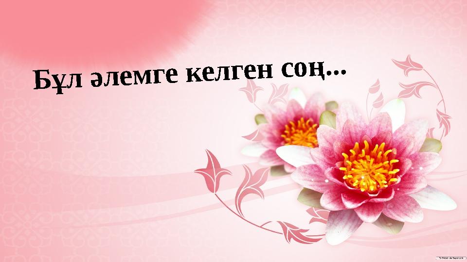 img_page_1