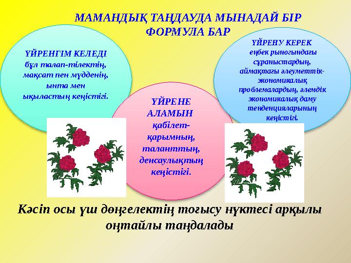 Кәсіп осы үш дөңгелектің тоғысу нүктесі арқылы оңтайлы таңдалады ҮЙРЕНГІМ КЕЛЕДІ бұл талап-тілектің, мақсат пен мүдденің, ы