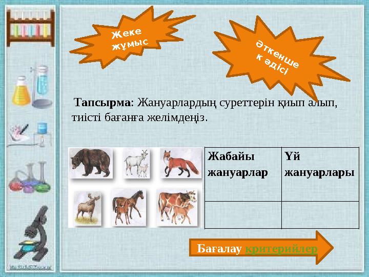 Мексикадағы секс демалыстары, Пормо