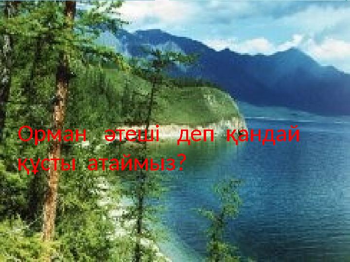 Орман әтеші деп қандай құсты атаймыз?