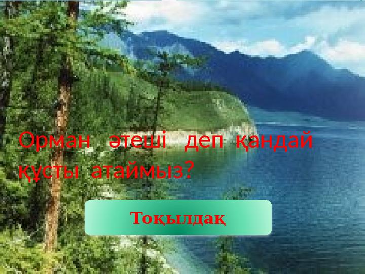 Орман әтеші деп қандай құсты атаймыз? Тоқылдақ