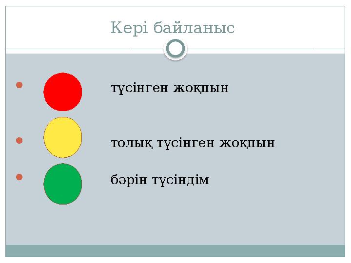 Кері байланыс  түсінген жоқпын  толық түсінген жоқпын  бәрін түсінді