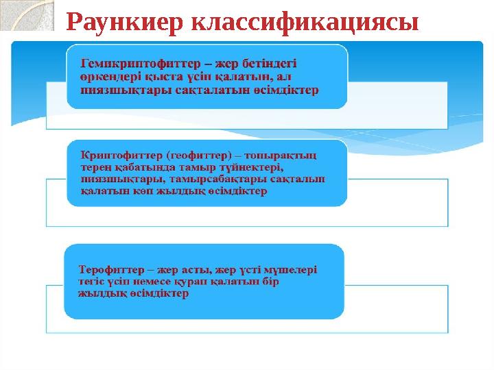 Раункиер классификациясы