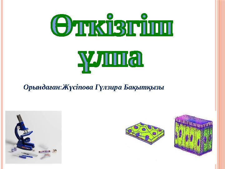 Аяқ фетиш Валерия Ланская