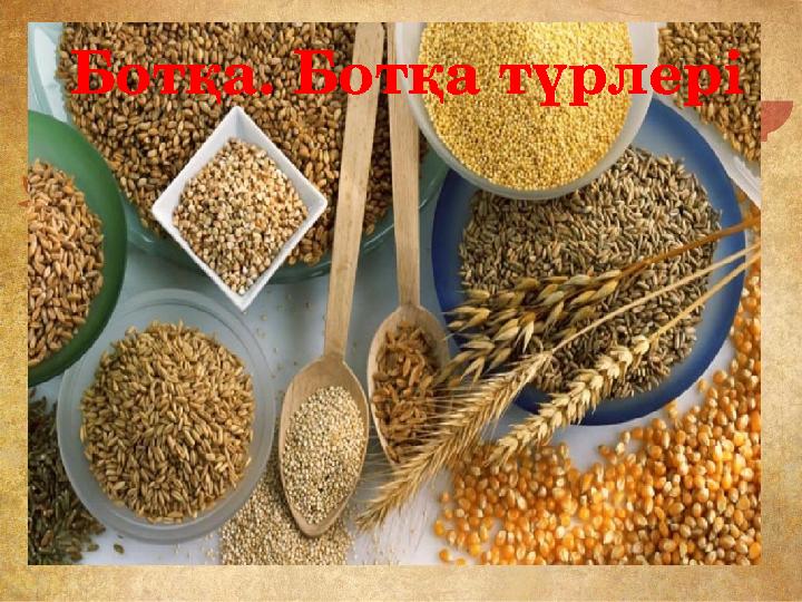 Украин әйелімен жыныстық қатынас