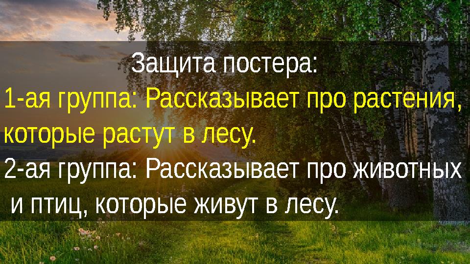 Защита постера: 1- ая группа: Рассказывает про растения, которые растут в лесу. 2- ая группа: Рассказывает