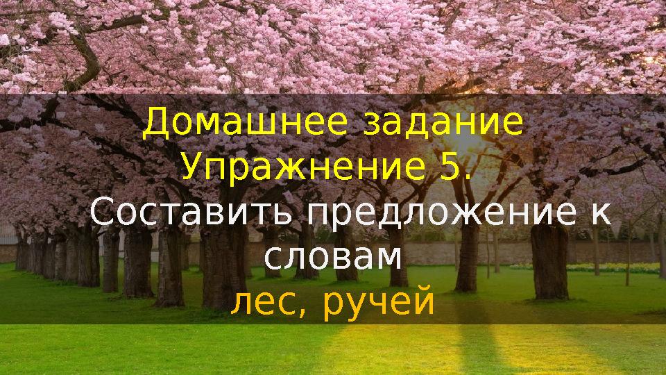 Домашнее задание Упражнение 5. Составить предложение к словам лес, ручей