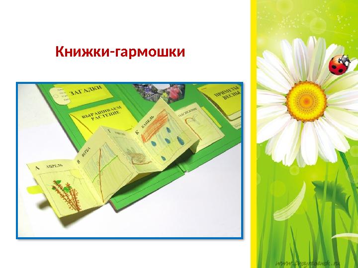 Книжки-гармошки