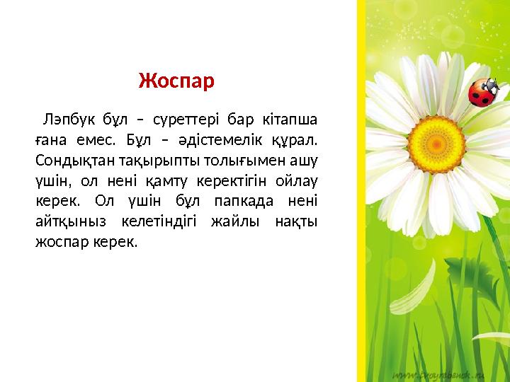 Жоспар Лэпбук бұл – суреттері бар кітапша ғана емес. Бұл – әдістемелік құрал. Сондықтан тақырыпты толығымен ашу үшін, ол не