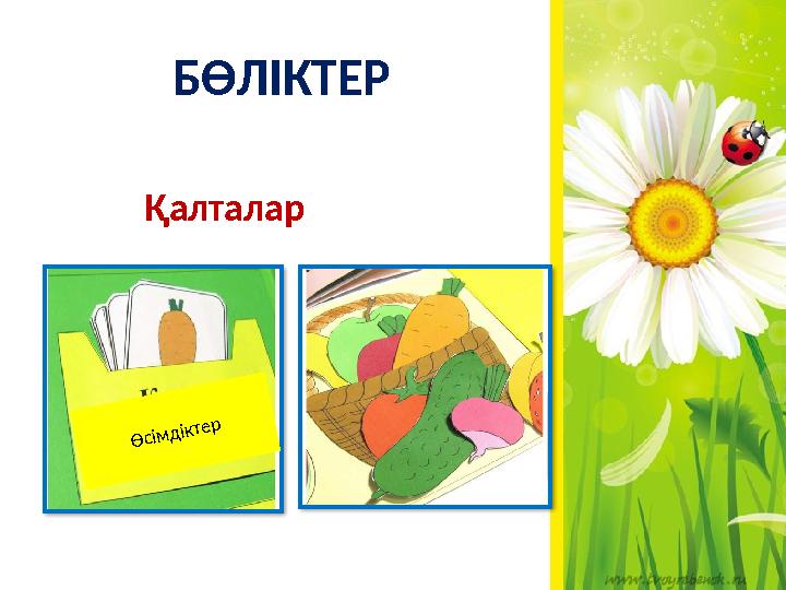 БӨЛІКТЕР Қалталар Өсімдіктер