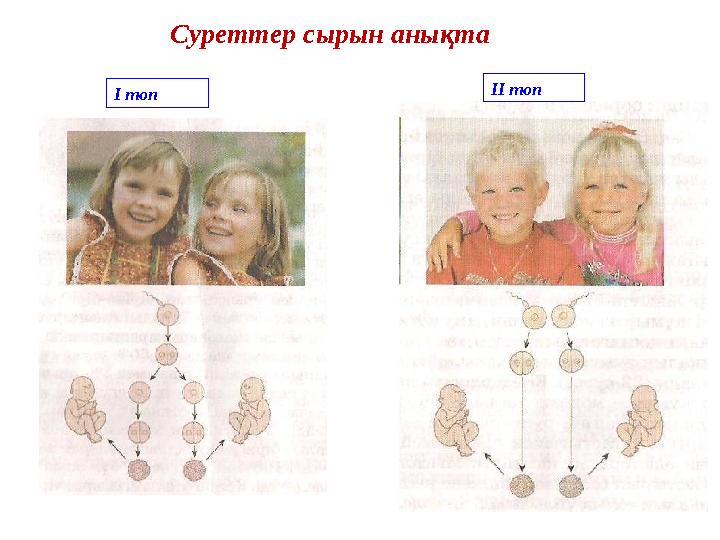 Суреттер сырын анықта ІІ топ І топ