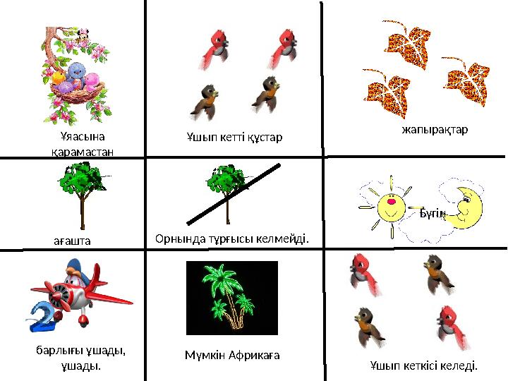 Ұяасына қарамастан Ұшып кетті құстар жапырақтар ағашта Орнында тұрғысы келмейді. Бүгін барлығы ұшады, ұшады. Мүмкін Африкаға