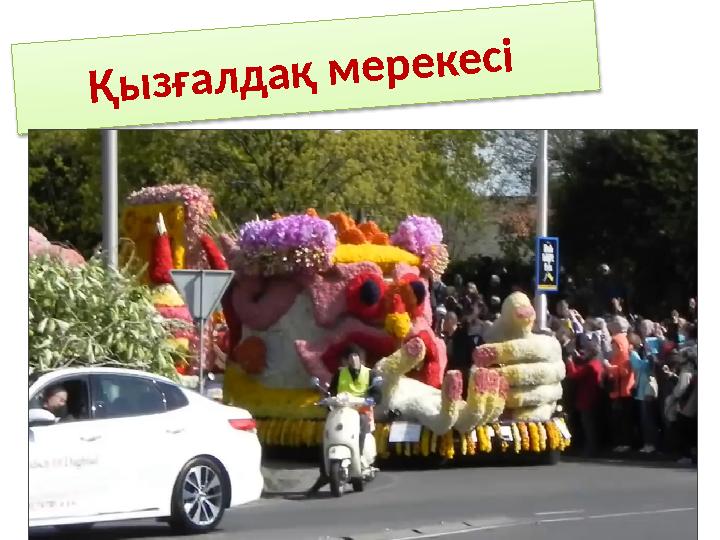 Қызғалдақ мерекесі Қызғалдақ мерекесі