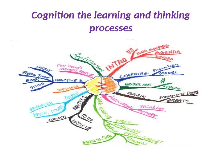 Cognition the learning and thinking processes