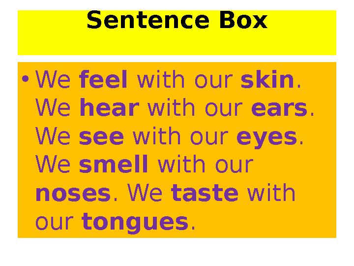 Sentence Box • We feel with our skin . We hear with our ears . We see with our eyes . We smell with our noses . W