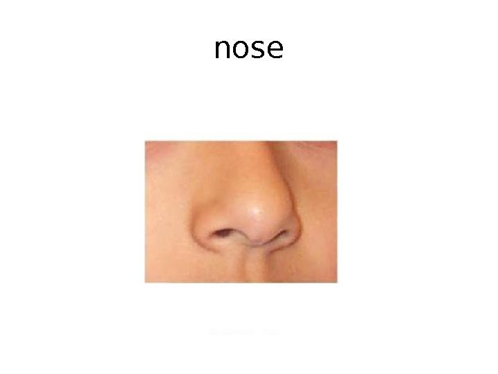 nose