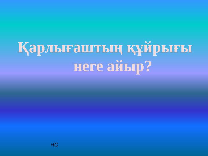 Қарлығаштың құйрығы неге айыр? НС