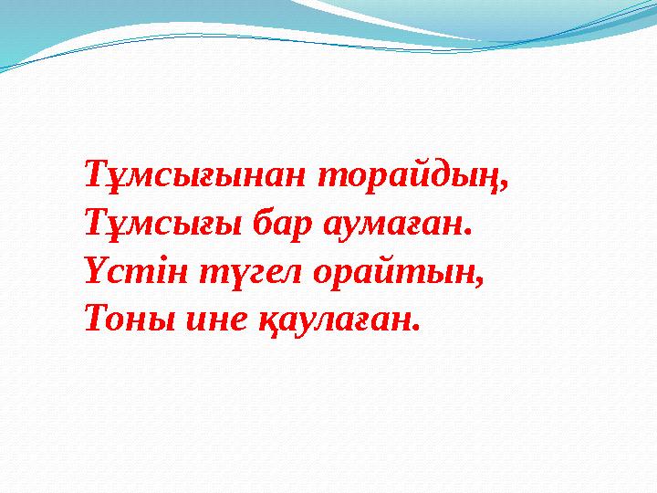 Тұмсығынан торайдың, Тұмсығы бар аумаған. Үстін түгел орайтын, Тоны ине қаулаған.