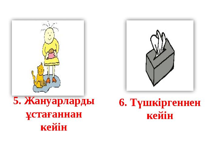 5. Жануарларды ұстағаннан кейін 6. Түшкіргеннен кейін 5. Жануарларды ұстағаннан кейін 6. Түшкіргеннен кейін