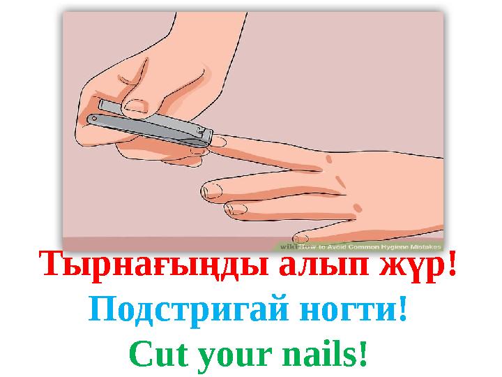 Тырнағыңды алып жүр! Подстригай ногти! Cut your nails! Тырнағыңды алып жүр! Подстригай ногти! Cut your nails!