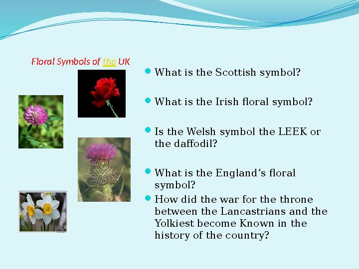 Floral Symbols of the UK