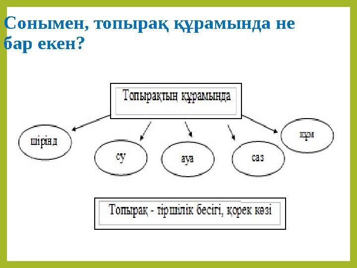 Сонымен, топырақ құрамында не бар екен?