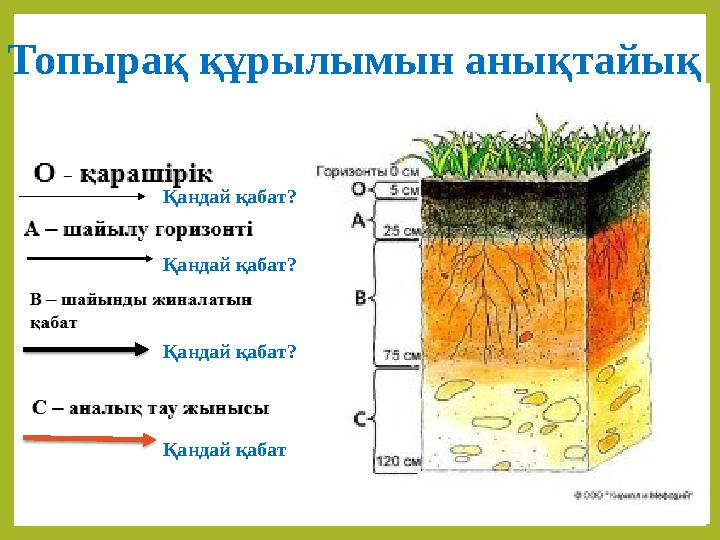 Топырақ құрылымын анықтайық Қандай қабат? Қандай қабат? Қандай қабат? Қандай қабат