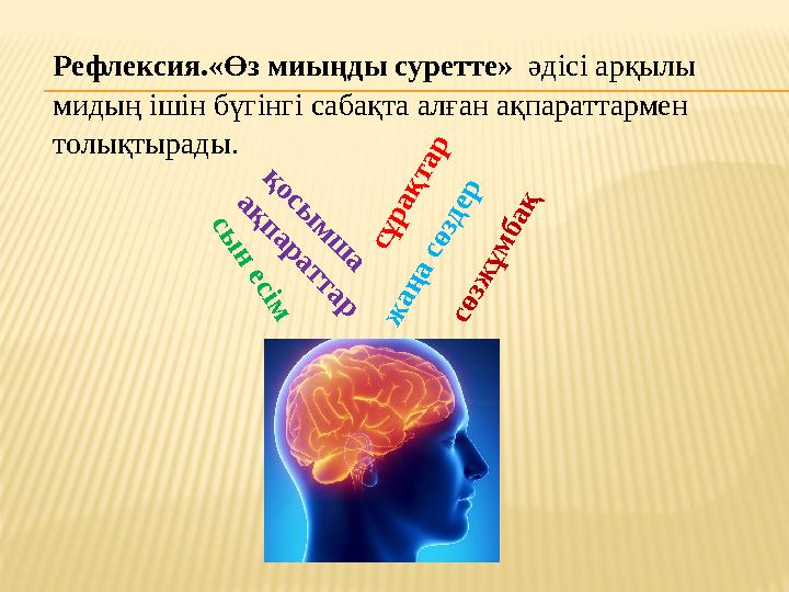 Рефлексия.«Өз миыңды суретте» әдісі арқылы мидың ішін бүгінгі сабақта алған ақпараттармен толықтырады. с ө зж ұ м б а қ ж а ң