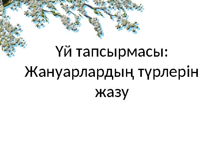 Үй тапсырмасы: Жануарлардың түрлерін жазу