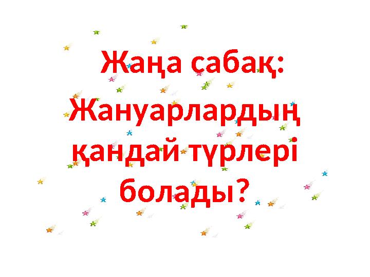 Жаңа сабақ: Жануарлардың қандай түрлері болады?