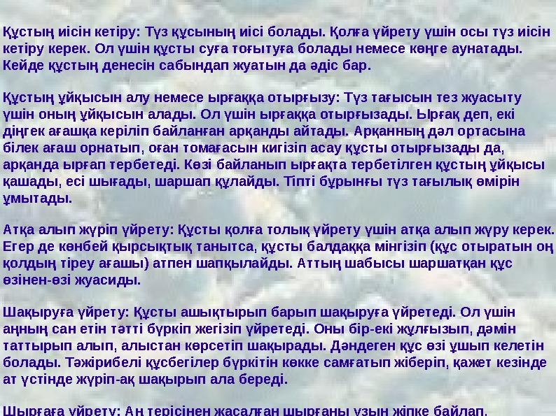 Құстың иісін кетіру: Түз құсының иісі болады. Қолға үйрету үшін осы түз иісін кетіру керек. Ол үшін құсты суға тоғытуға болады