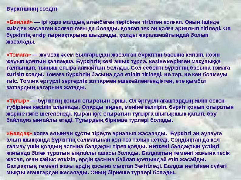 Диана Тюленева эротика