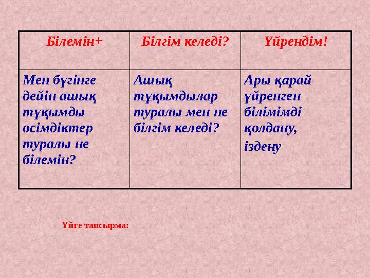 Білемін+ Білгім келеді? Үйрендім! Мен бүгінге дейін ашық тұқымды өсімдіктер туралы не білемін? Ашық тұқымдылар туралы мен