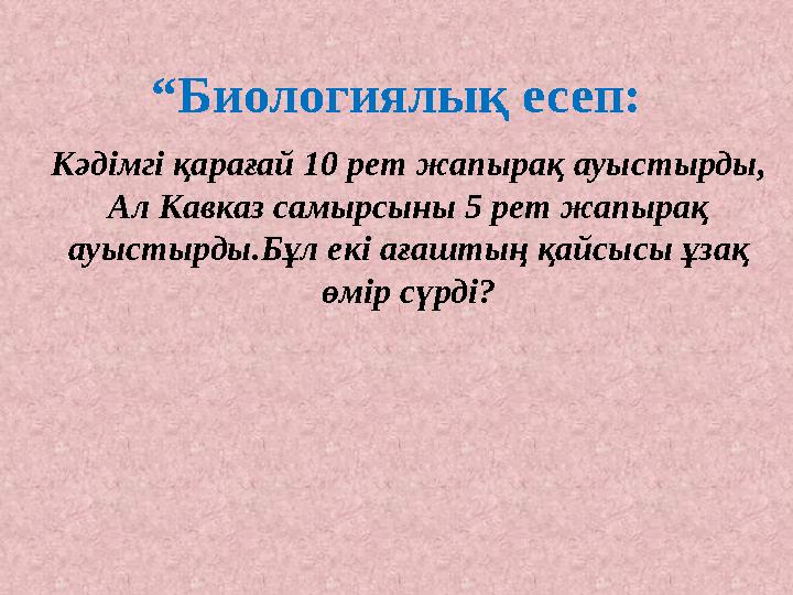 “ Биологиялық есеп: Кәдімгі қарағай 10 рет жапырақ ауыстырды, Ал Кавказ самырсыны 5 рет жапырақ ауыстырды.Бұл екі ағаштың қайсы