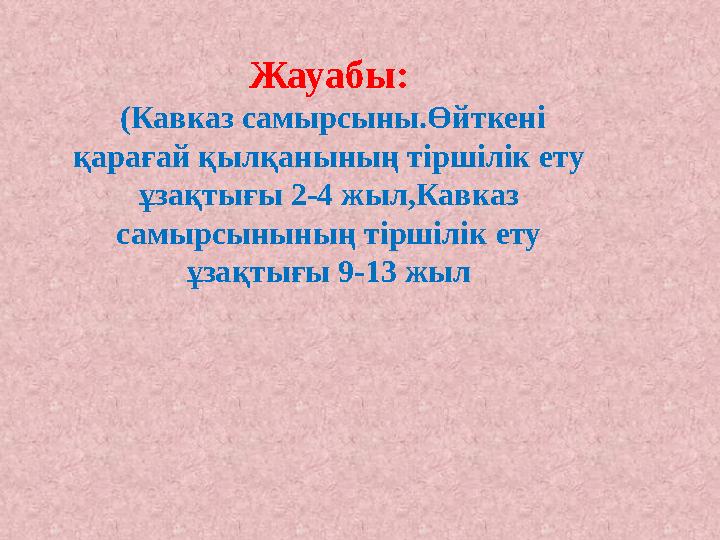 Жауабы: (Кавказ самырсыны.Өйткені қарағай қылқанының тіршілік ету ұзақтығы 2-4 жыл,Кавказ самырсынының тіршілік ету ұзақты