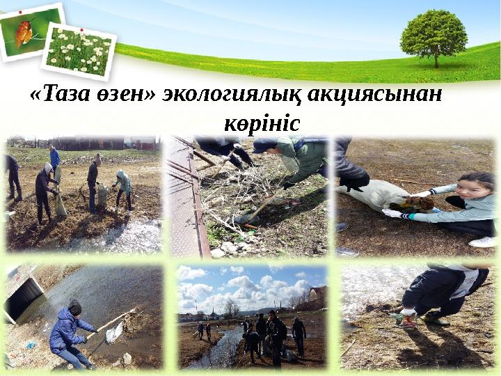 «Таза өзен» экологиялық акциясынан көрініс