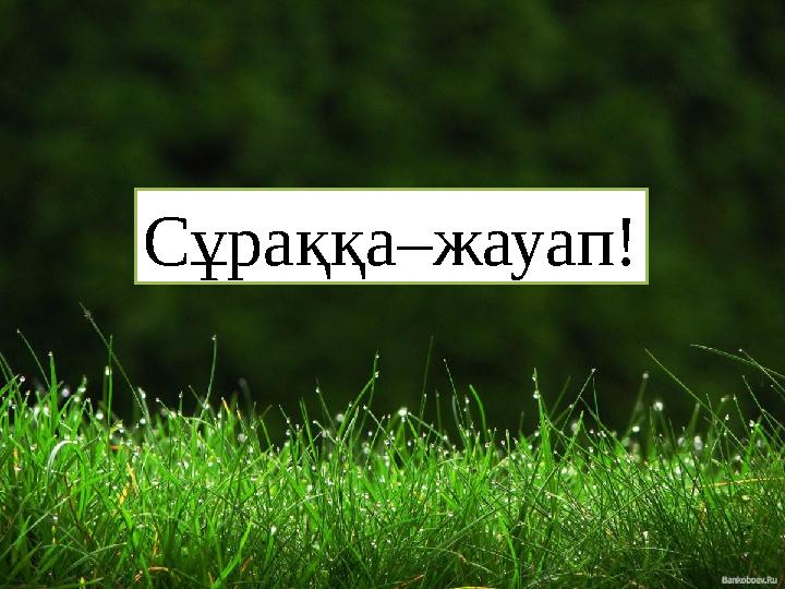 Сұраққа–жауап!