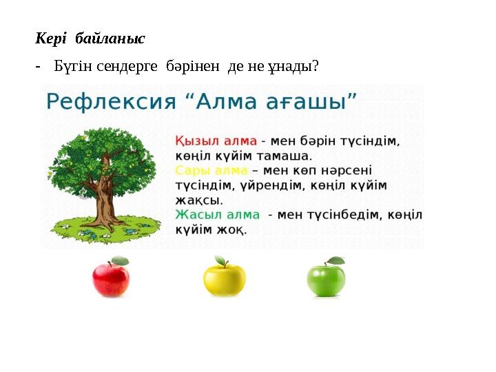 Кері байланыс -Бүгін сендерге бәрінен де не ұнады?