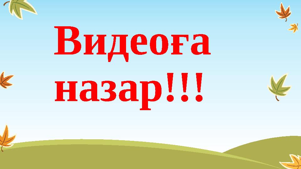 Видеоға назар!!!